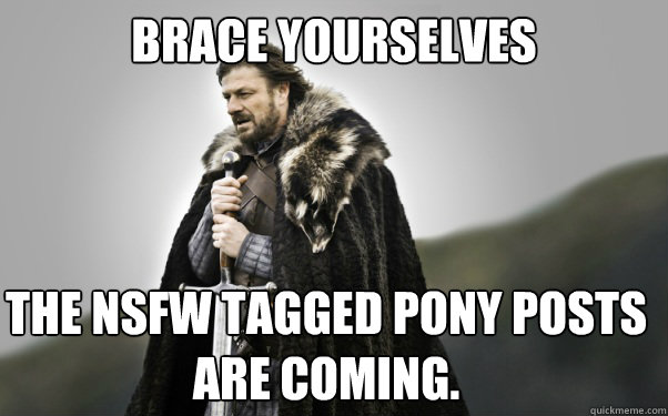 BRACE YOURSELVES The NSFW tagged pony posts are coming.  Ned Stark