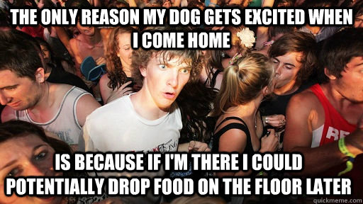 the only reason my dog gets excited when i come home is because if i'm there i could potentially drop food on the floor later   Sudden Clarity Clarence