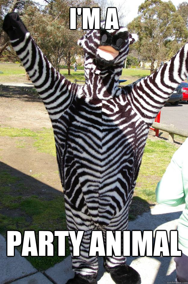 I'm a Party animal  Party Zebra