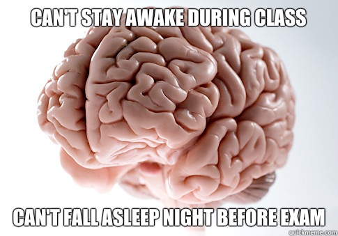 Can't stay awake during class Can't fall asleep night before exam - Can't stay awake during class Can't fall asleep night before exam  Scumbag Brain