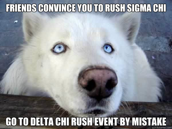 friends convince you to rush sigma chi go to delta chi rush event by mistake  