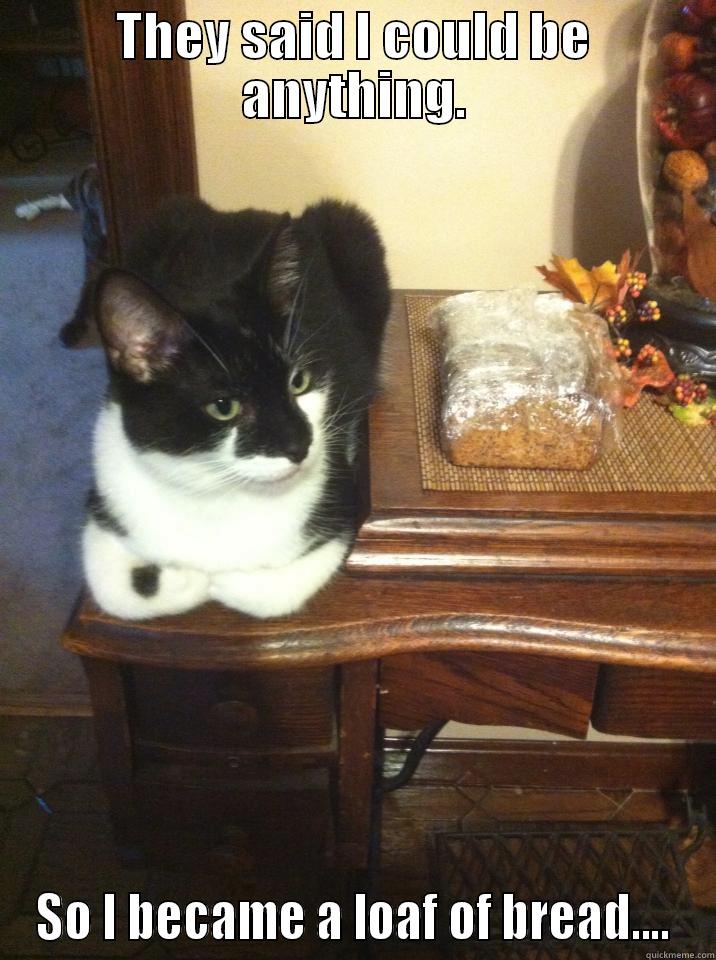My cat is a loaf of bread. - THEY SAID I COULD BE ANYTHING. SO I BECAME A LOAF OF BREAD.... Misc
