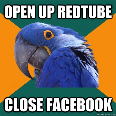 Open up redtube close facebook  Paranoid Parrot