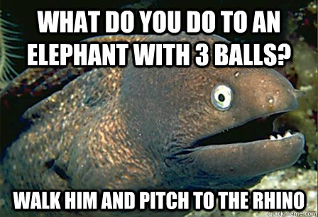 what do you do to an elephant with 3 balls?  walk him and pitch to the rhino - what do you do to an elephant with 3 balls?  walk him and pitch to the rhino  Misc