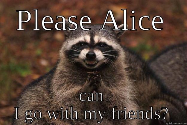 please alice - PLEASE ALICE CAN I GO WITH MY FRIENDS? Evil Plotting Raccoon