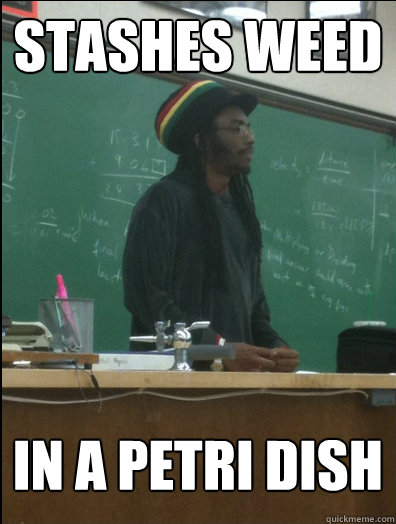 stashes weed In a petri dish  Rasta Science Teacher