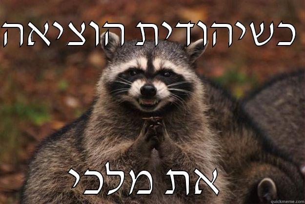 כשיהודית הוציאה  את מלכי  Evil Plotting Raccoon