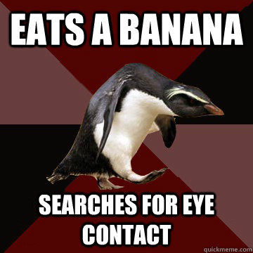 Eats a banana Searches for eye contact  Socially Insane Penguin