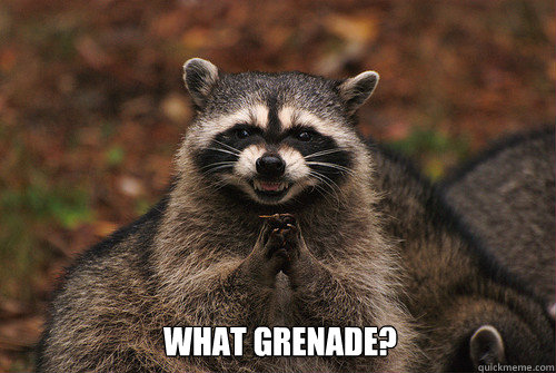  What Grenade?  Insidious Racoon 2