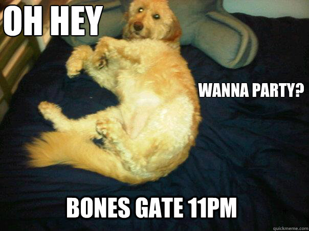 Oh hey WANNA PARTY? BONES GATE 11PM   