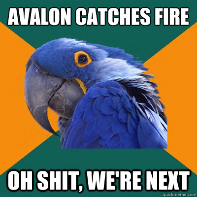 Avalon catches fire Oh shit, we're next  Paranoid Parrot