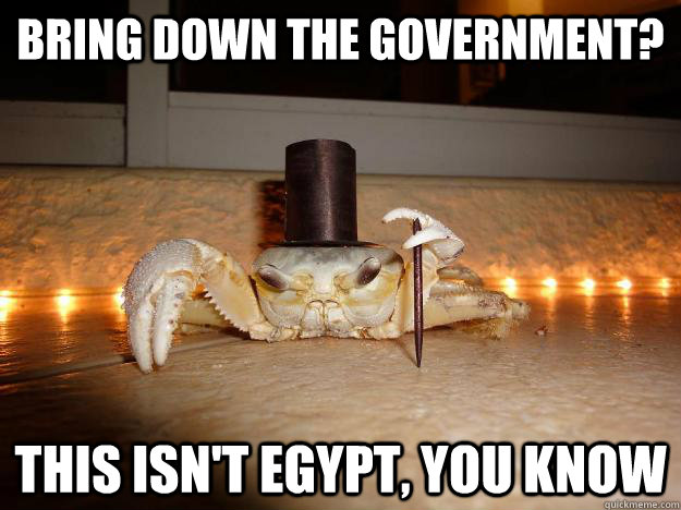 bring down the government? this isn't egypt, you know  Fancy Crab