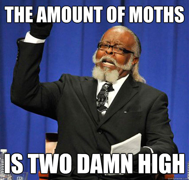 The amount of moths Is two damn high  Jimmy McMillan