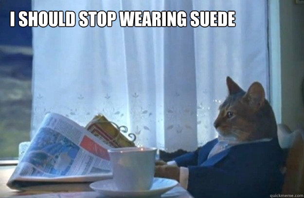I should stop wearing suede  Sophisticated Cat