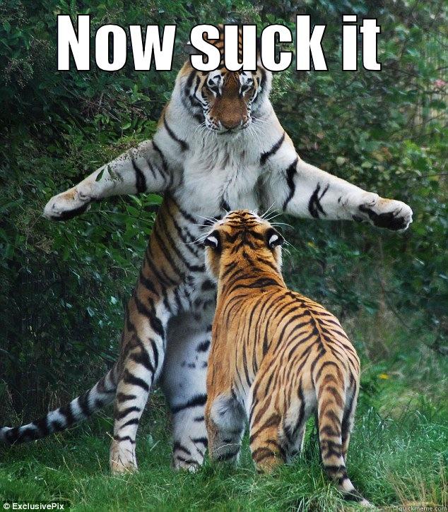 Sexual tiger - NOW SUCK IT  Misc