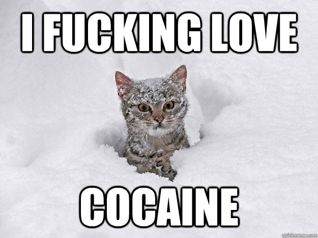 I FUCKING LOVE COCAINE - Cocaine Cat - quickmeme.