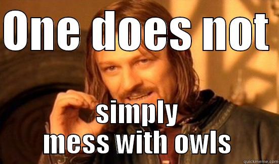 ONE DOES NOT  SIMPLY MESS WITH OWLS Boromir
