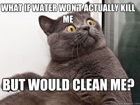 What if water won't actually kill me but would clean me? - What if water won't actually kill me but would clean me?  conspiracy cat