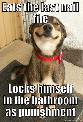 EATS THE LAST NAIL FILE LOCKS HIMSELF IN THE BATHROOM AS PUNISHMENT Good Dog Greg