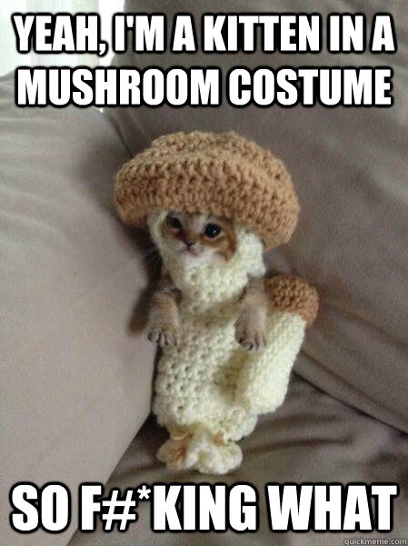 yeah, I'm a kitten in a mushroom costume so f#*king what - yeah, I'm a kitten in a mushroom costume so f#*king what  Misc