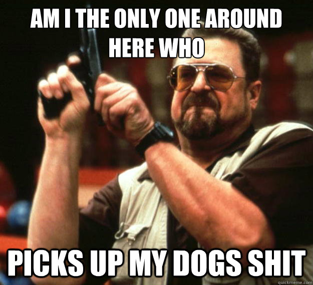 am I the only one around here who picks up my dogs shit  Angry Walter