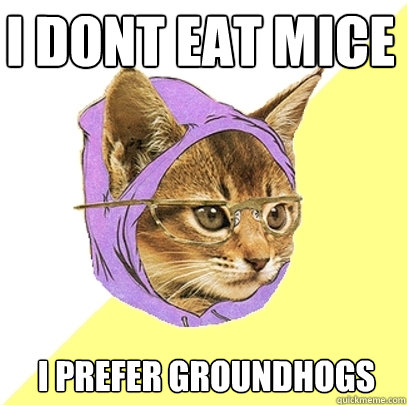 I dont eat mice  I prefer groundhogs  Hipster Kitty