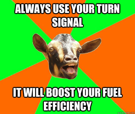 always use your turn signal it will boost your fuel efficiency  - always use your turn signal it will boost your fuel efficiency   Right for the Wrong Reason Goat