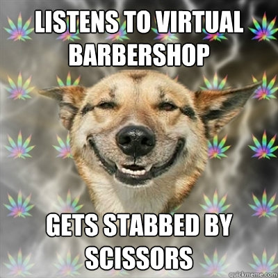 Listens to virtual barbershop Gets stabbed by scissors   Stoner Dog