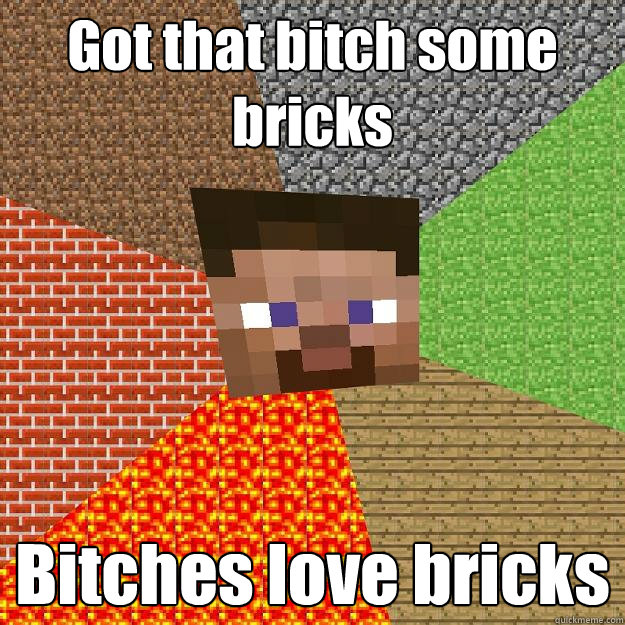 Got that bitch some bricks Bitches love bricks  Minecraft