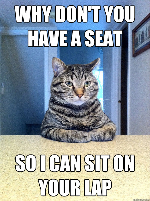 Why don't you have a seat So I can sit on your lap - Why don't you have a seat So I can sit on your lap  Chris Hansen Cat