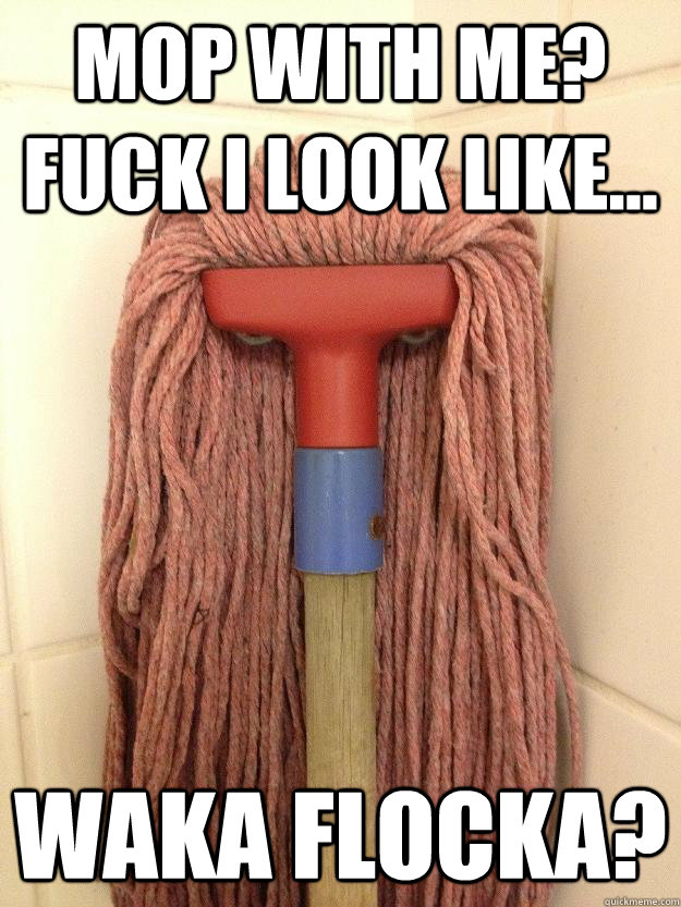 mop with me? Fuck i look like... waka flocka?  Insanity Mop