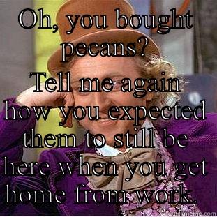 OH, YOU BOUGHT PECANS? TELL ME AGAIN HOW YOU EXPECTED THEM TO STILL BE HERE WHEN YOU GET HOME FROM WORK.  Condescending Wonka