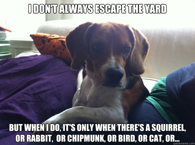 I don't always escape the yard But when I do, it's only when there's a squirrel, or rabbit,  or chipmunk, or bird, or cat, or...  