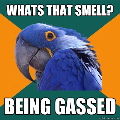 whats that smell? BEING GASSED  Paranoid
