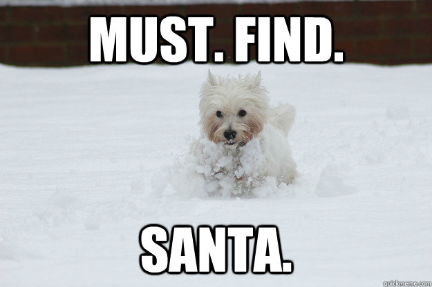 must. find. santa.  Daisy the Dog