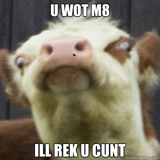 U WOT M8 ILL REK U CUNT - U WOT M8 ILL REK U CUNT  Annoying Mad Cow