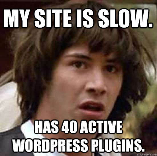 My Site is slow.  Has 40 active Wordpress Plugins.  conspiracy keanu