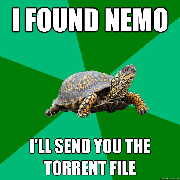 i found nemo i'll send you the torrent file  Torrenting Turtle