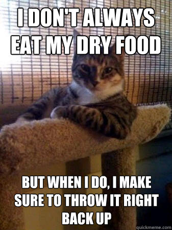 I don't always eat my dry food but when I do, I make sure to throw it right back up  The Most Interesting Cat in the World