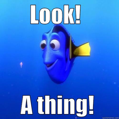 LOOK!  A THING! dory