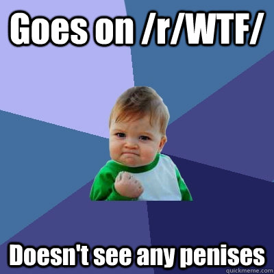 Goes on /r/WTF/ Doesn't see any penises   Success Kid