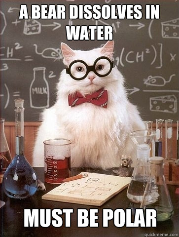 A Bear dissolves in water must be polar - A Bear dissolves in water must be polar  Chemistry Cat