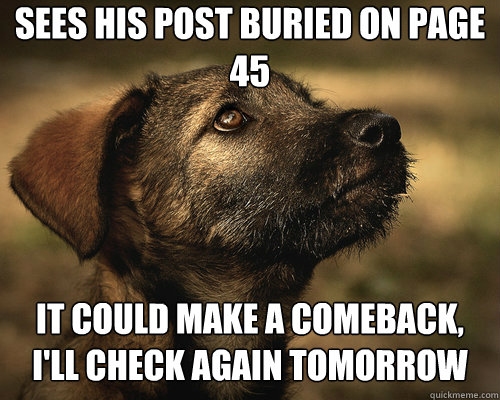 Sees his post buried on page 45 It could make a comeback, I'll check again tomorrow - Sees his post buried on page 45 It could make a comeback, I'll check again tomorrow  Hopelessly Optimistic Dog