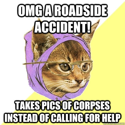 OMG a roadside accident! Takes pics of corpses instead of calling for help  Hipster Kitty