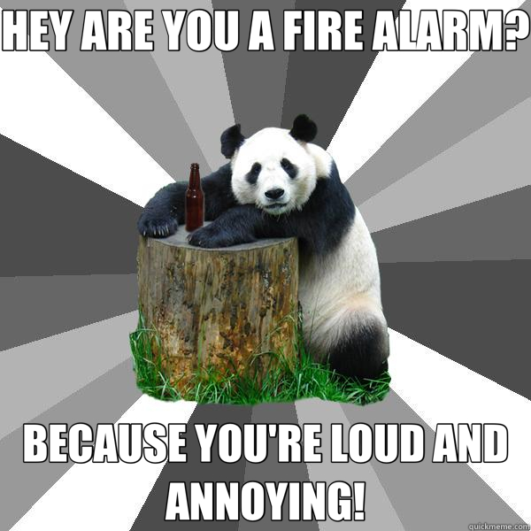 HEY ARE YOU A FIRE ALARM? BECAUSE YOU'RE LOUD AND ANNOYING!  Pickup-Line Panda