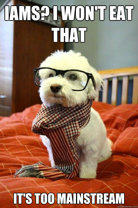 iams? i won't eat that it's too mainstream  Hipster Dog