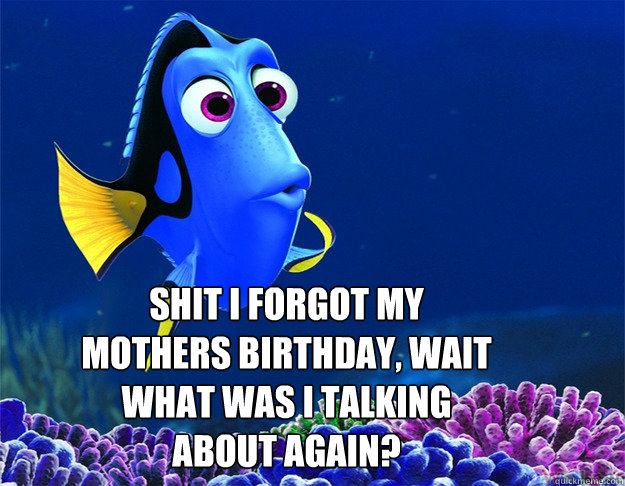  SHIT i forgot my mothers birthday, wait what was i talking about again?  dory
