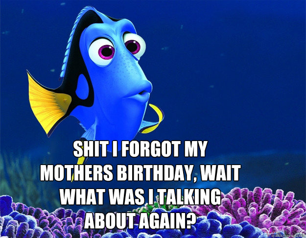  SHIT i forgot my mothers birthday, wait what was i talking about again? -  SHIT i forgot my mothers birthday, wait what was i talking about again?  dory