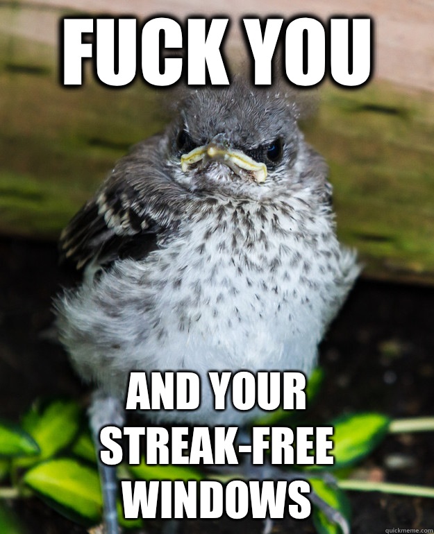 Fuck you  And your streak-free windows  - Fuck you  And your streak-free windows   Grumpy Bird