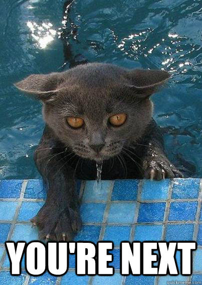 You're Next  wet cat